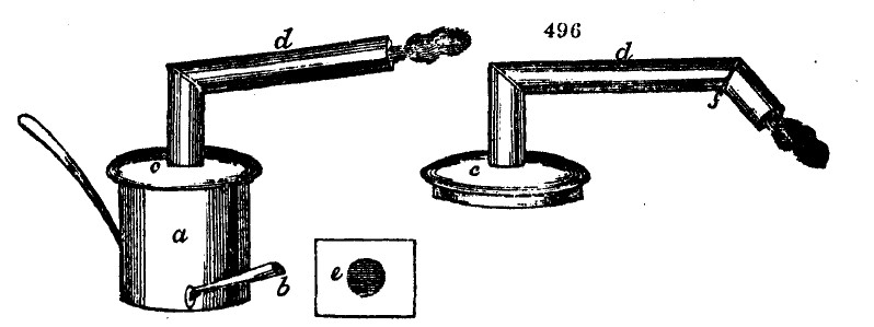 Gardening encyclopedia 1877 496