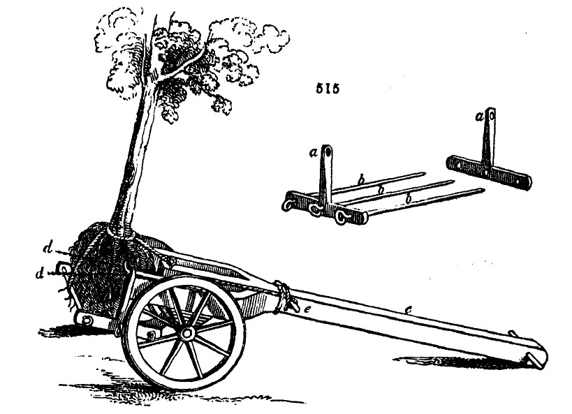 Gardening encyclopedia 1914 515