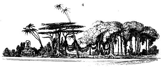 Gardening encyclopedia 19 4