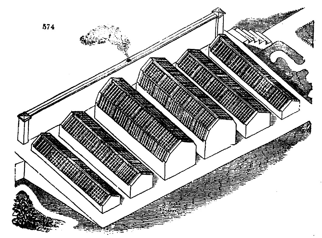 Gardening encyclopedia 2012 574