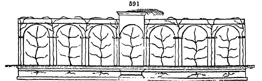 Gardening encyclopedia 2034 591