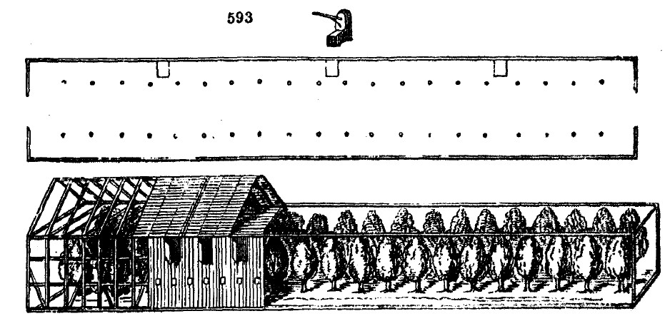 Gardening encyclopedia 2043 593