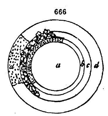 Gardening encyclopedia 2212 666