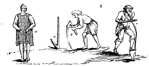 Gardening encyclopedia 37 5