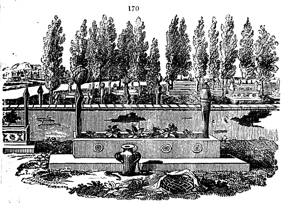 Gardening encyclopedia 534 170