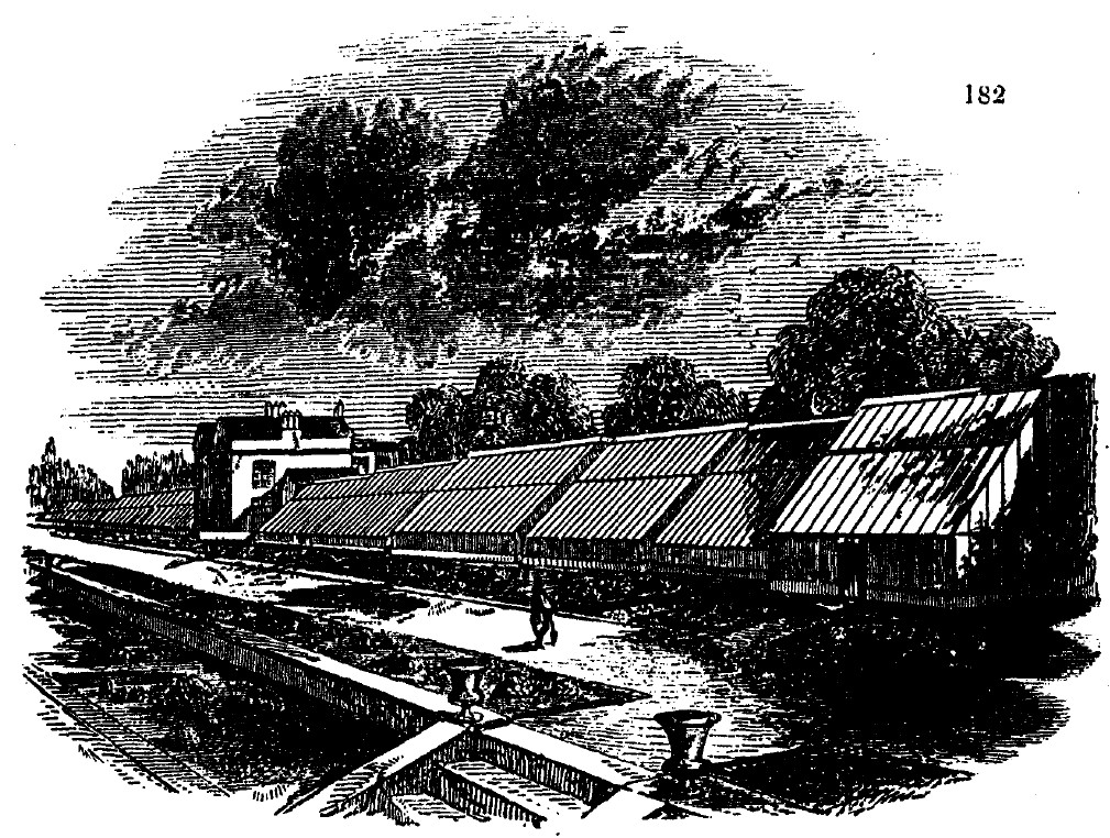 Gardening encyclopedia 591 182