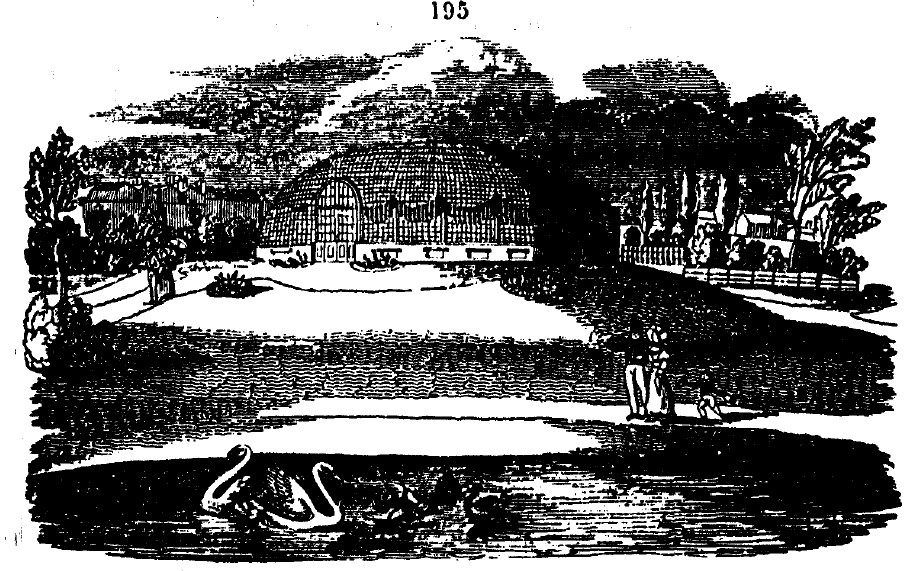 Gardening encyclopedia 594 195