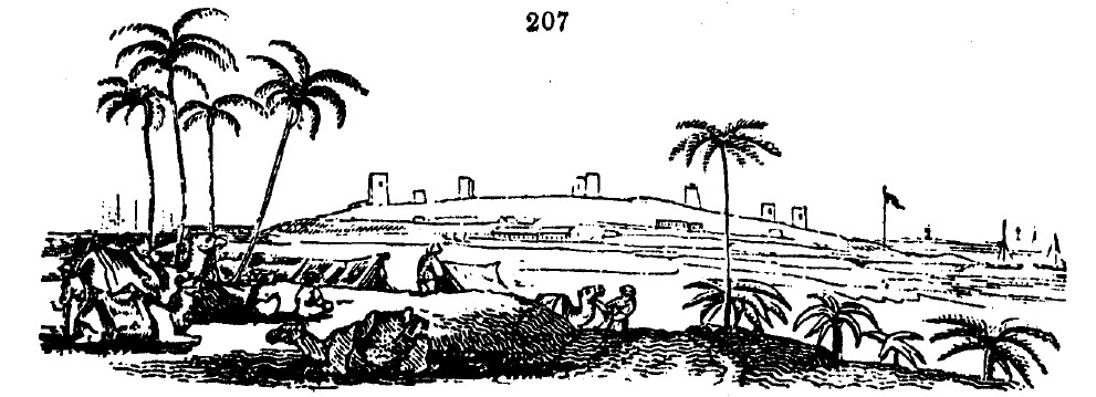 Gardening encyclopedia 735 207