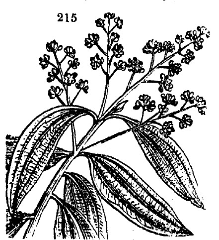 Gardening encyclopedia 769 215