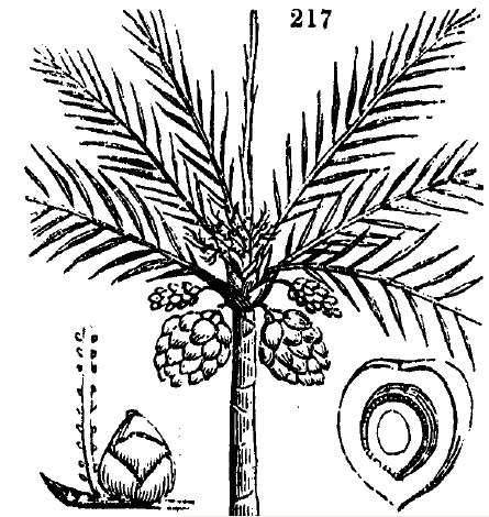 Gardening encyclopedia 771 217
