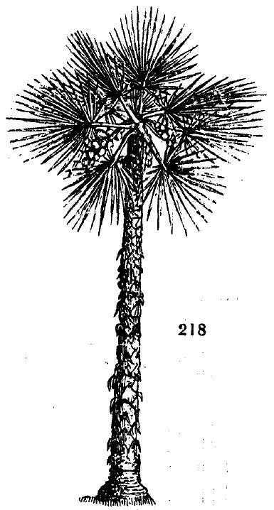 Gardening encyclopedia 771 218
