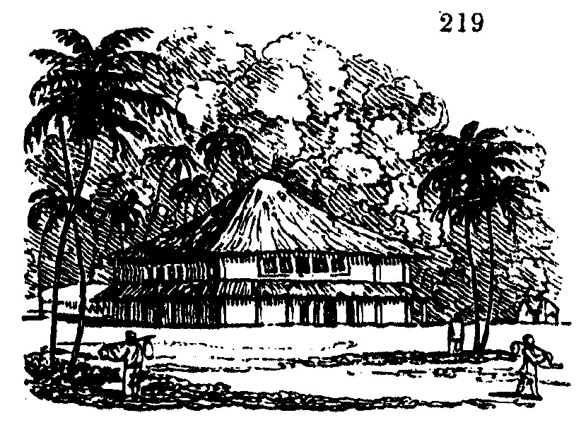 Gardening encyclopedia 778 219