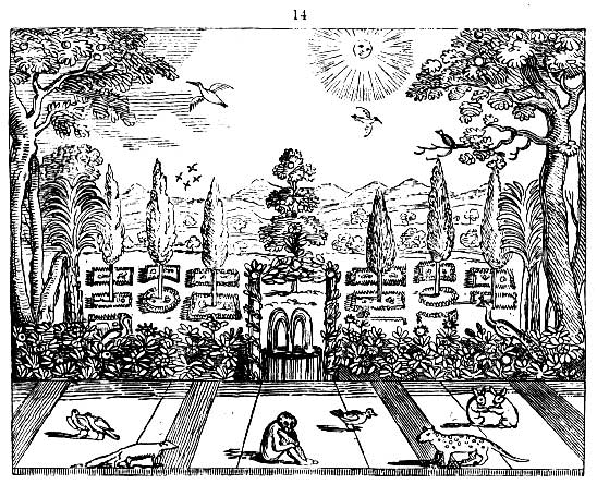 Gardening encyclopedia 95 14