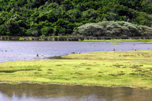Gardenroute sa