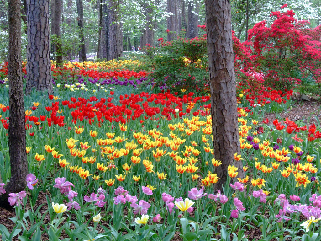 Garvan Woodland Gardens