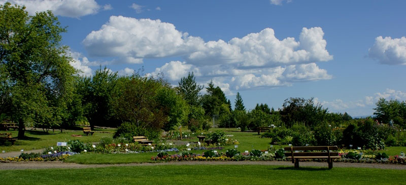 Georgeson Botanical Garden, Alaska