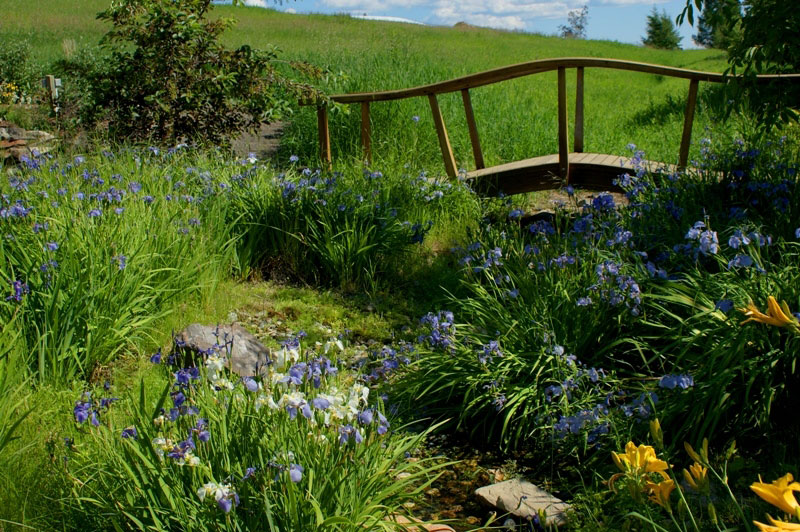 Bridge, Georgeson Botanical Garden