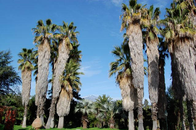 Parco Paternò del Toscano
