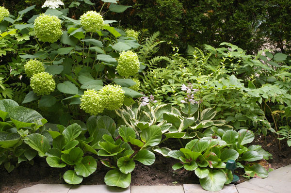 Gardens by Gordon Design, Wiltshire