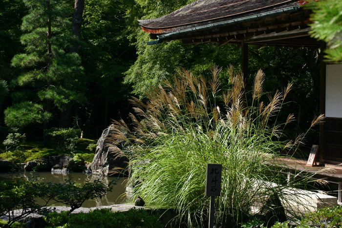 Ginkakuji, Silver Pavilion Garden