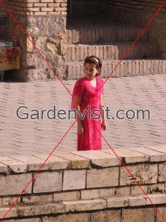 Girl Uzbekistan