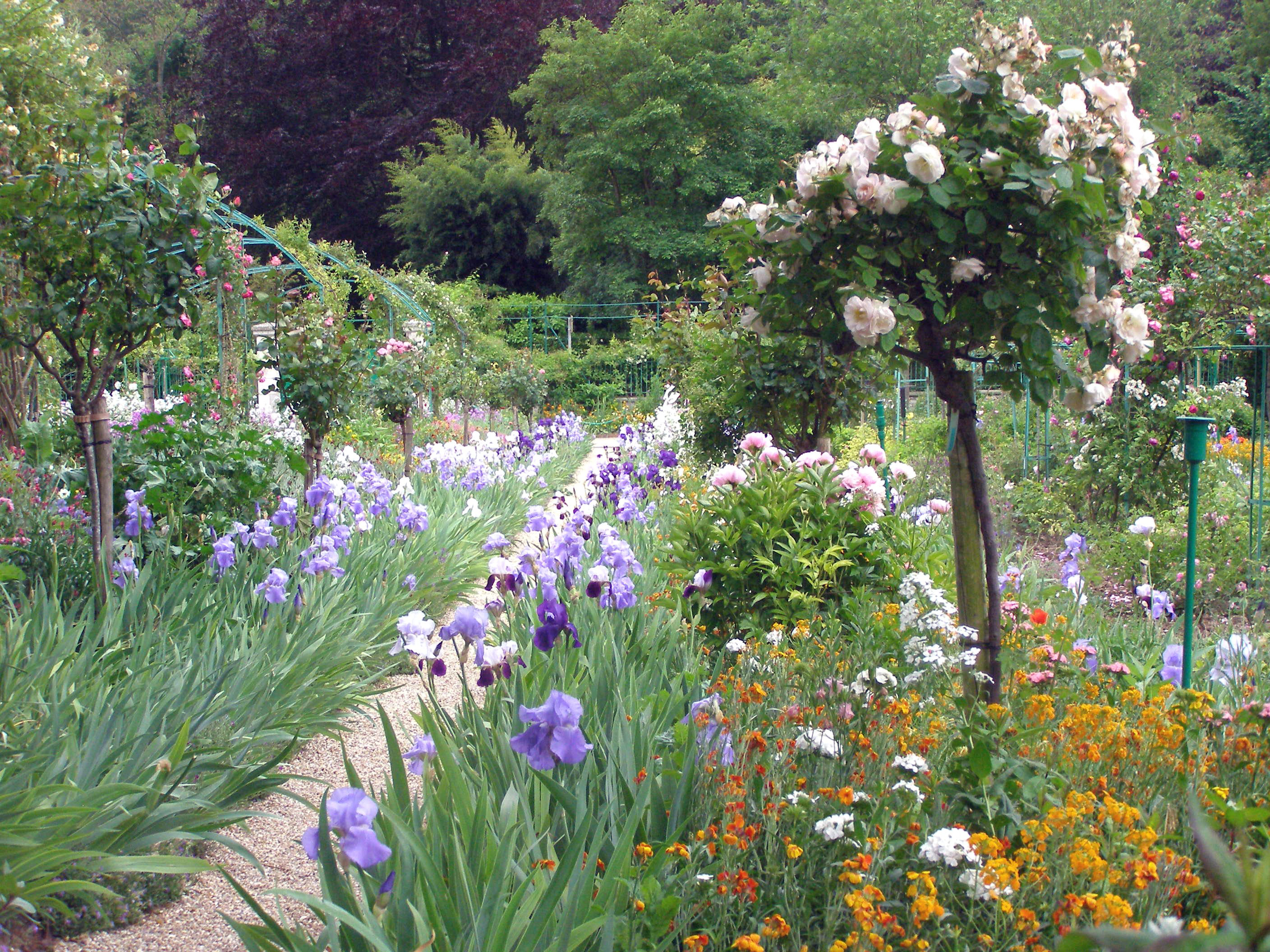 Irises and Roses