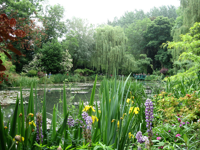 Water Garden, Giverny