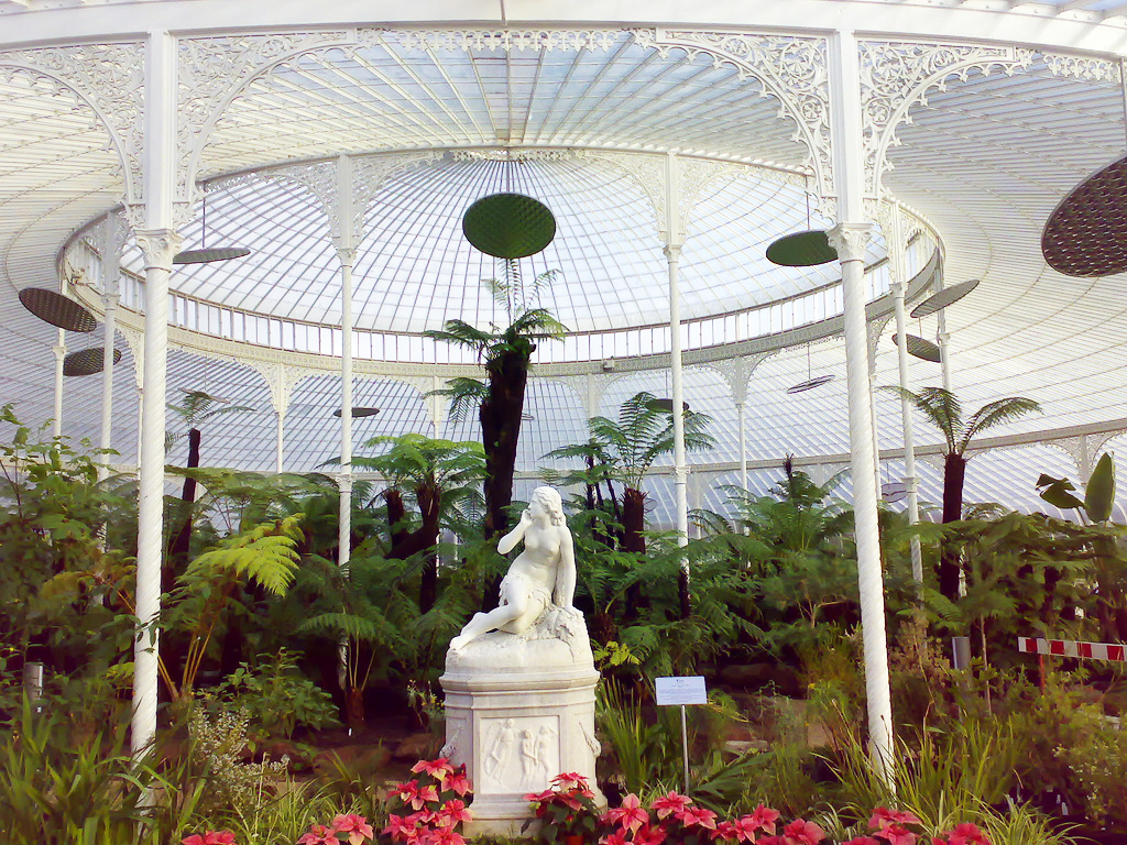 Glasgow Botanic Gardens What's the rush