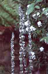 Glass in a garden