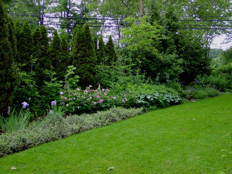 Glebe House Museum
