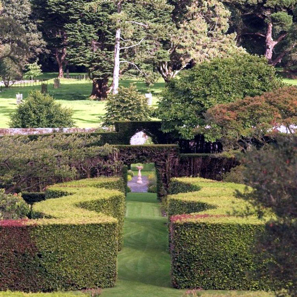The Walled Garden at Glenarm Castle