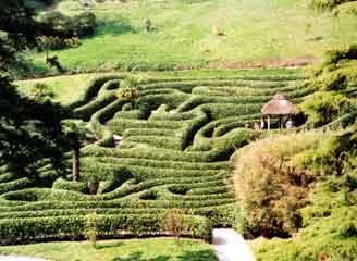 Glendurgan garden1