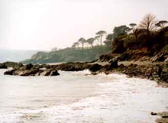 Glendurgan garden2