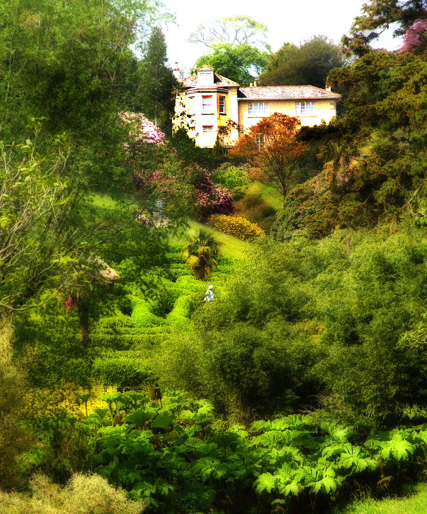 Glendurgan Garden Paul