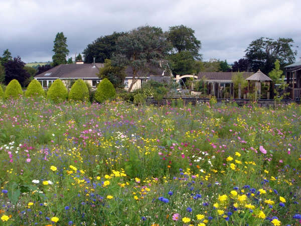 Glenview Gardens, County Cork