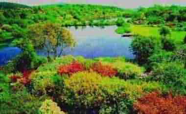 Glenw