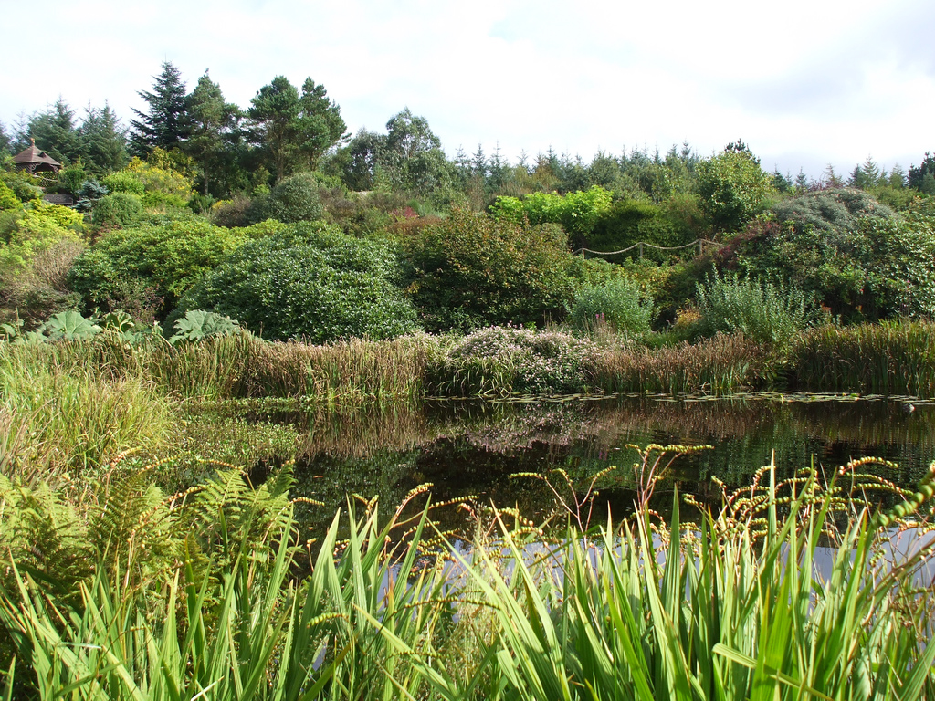 Glenwhan Garden ShelaghW