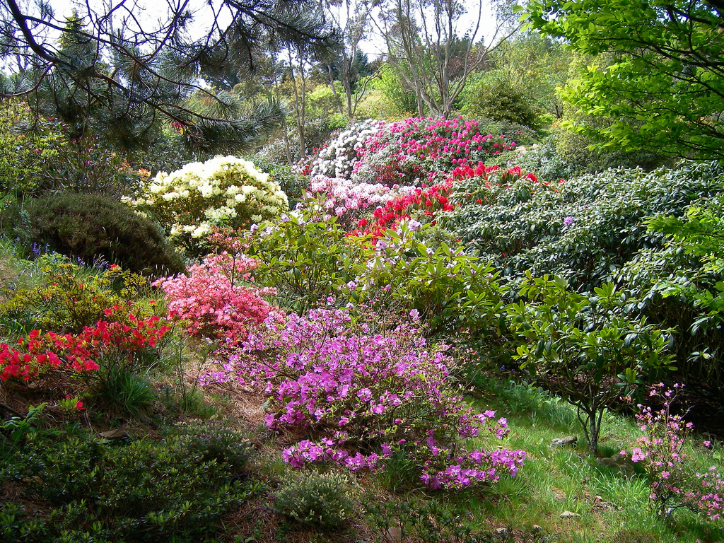 Glenwhan Garden jimrankin26