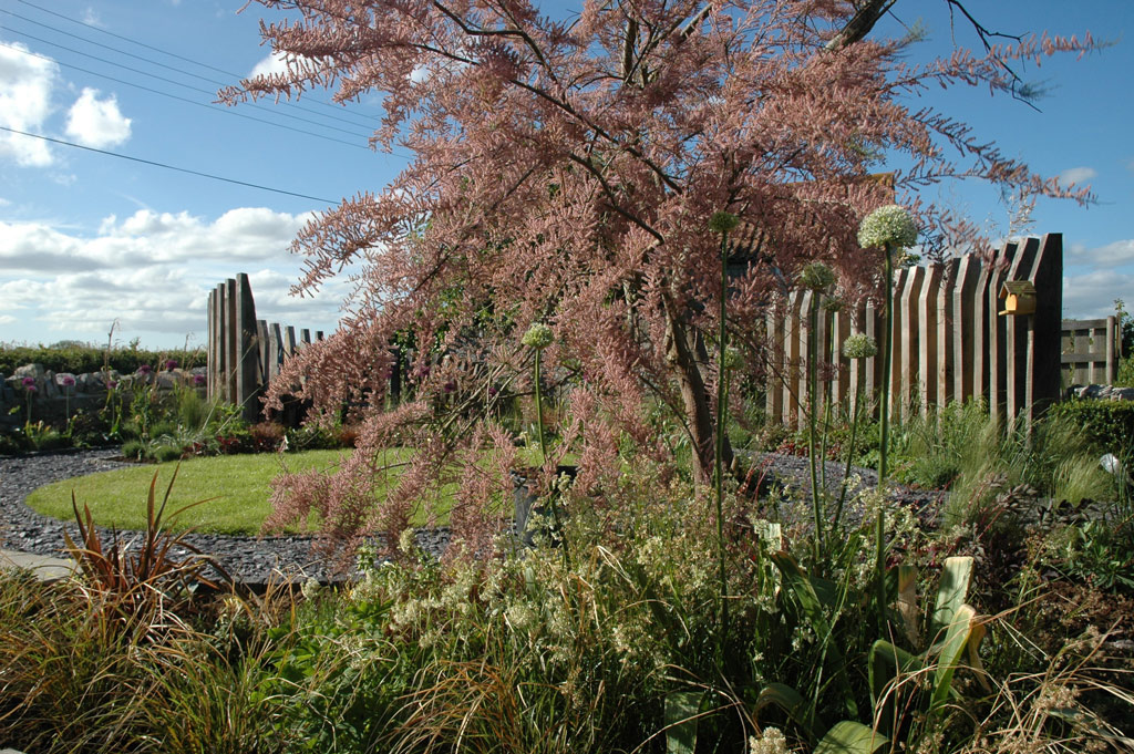 Garden design by Glorious Gardens