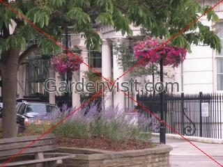 Gloucester Square