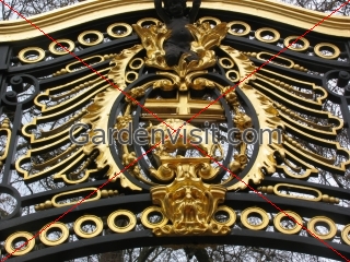 Gold Bull