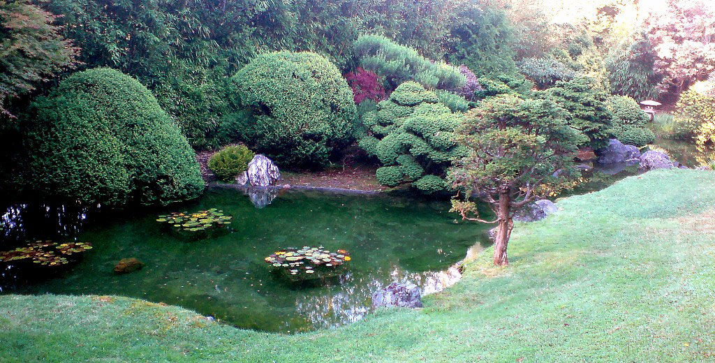 Japanese Tea Garden, San Francisco