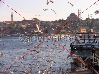 Golden Horn Suleymaniye Mosque Turkey