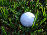 Golf Ball