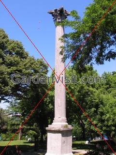 Goth's Column Turkey