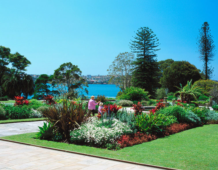 Government House Garden, Sydney