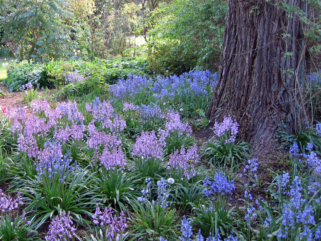 Government House Gardens BC, Canada