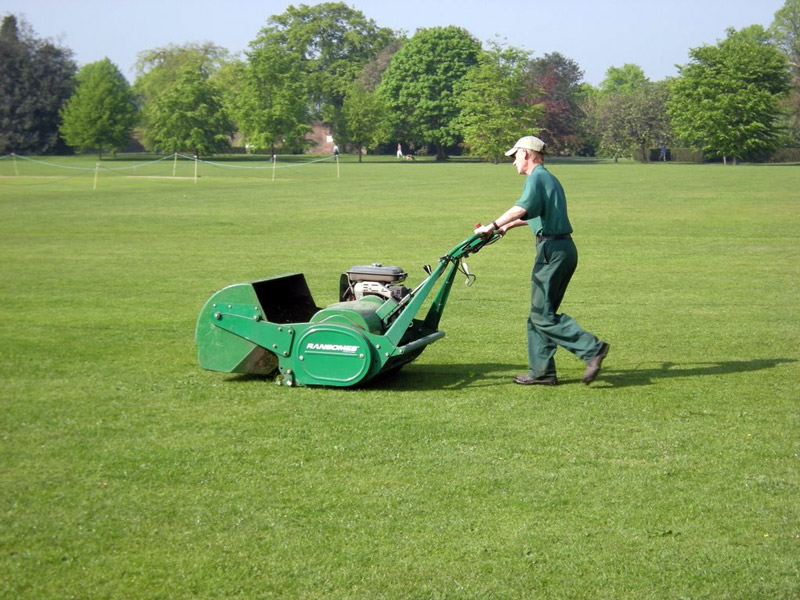 Lawn