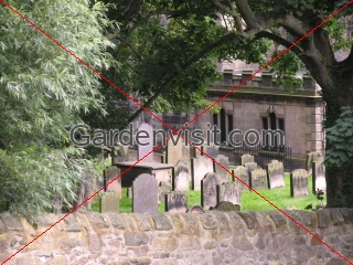 Grave Yard