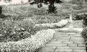 Illustrations on CD edition of Garden Visit and Travel Guide - see www.gardenvisit.com/order_form.htm